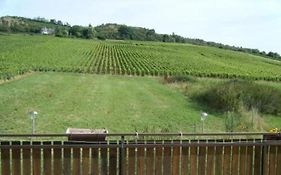 Maison Au Milieu Des Vignes