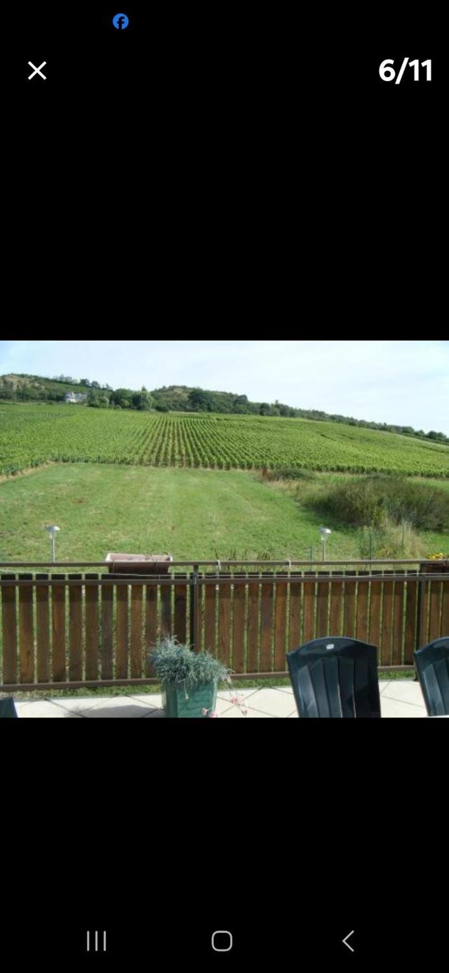 Maison Au Milieu Des Vignes Moroges Extérieur photo